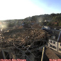 19_25-nest.jpg