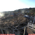 19_30-nest.jpg