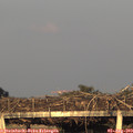 19_55-mast.jpg