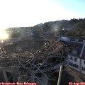 20_00-nest.jpg