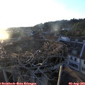 20_05-nest.jpg