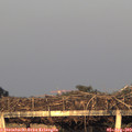 20_10-mast.jpg