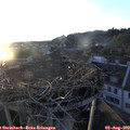 20_15-nest.jpg