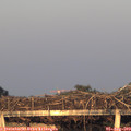 20_20-mast.jpg