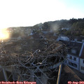20_20-nest.jpg