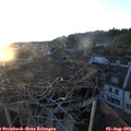 20_25-nest.jpg