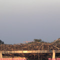 20_30-mast.jpg