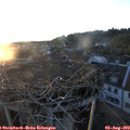 20_30-nest.jpg
