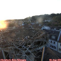 20_35-nest.jpg