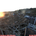 20_40-nest.jpg