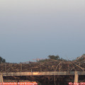 20_45-mast.jpg