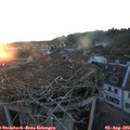 20_45-nest.jpg