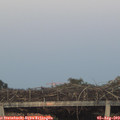 20_50-mast.jpg