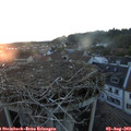 20_50-nest.jpg