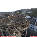 06_05-nest.jpg