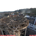 06_10-nest.jpg
