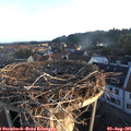 06_30-nest.jpg