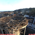 06_35-nest.jpg
