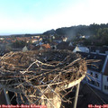 06_40-nest.jpg