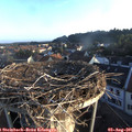 06_45-nest.jpg