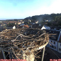 06_50-nest.jpg