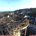 06_55-nest.jpg