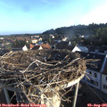 07_05-nest.jpg