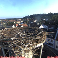 07_10-nest.jpg