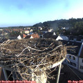 07_15-nest.jpg