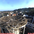 07_30-nest.jpg
