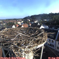 07_35-nest.jpg