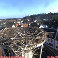 07_40-nest.jpg