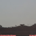 07_45-mast.jpg