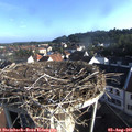 07_45-nest.jpg