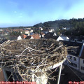 07_50-nest.jpg