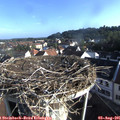 07_55-nest.jpg