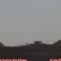 08_00-mast.jpg