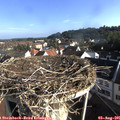 08_10-nest.jpg
