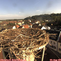 08_15-nest.jpg
