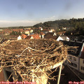 08_40-nest.jpg