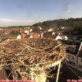 08_55-nest.jpg