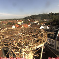 09_00-nest.jpg
