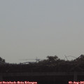 09_10-mast.jpg