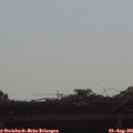 09_15-mast.jpg