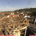 09_20-nest.jpg