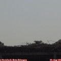 09_30-mast.jpg