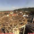 09_30-nest.jpg