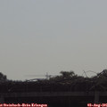 09_35-mast.jpg