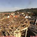 09_35-nest.jpg
