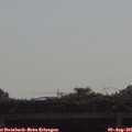 09_50-mast.jpg